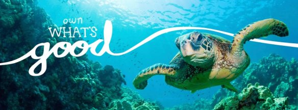 Ethical Ocean Turtle Header Own What's Good